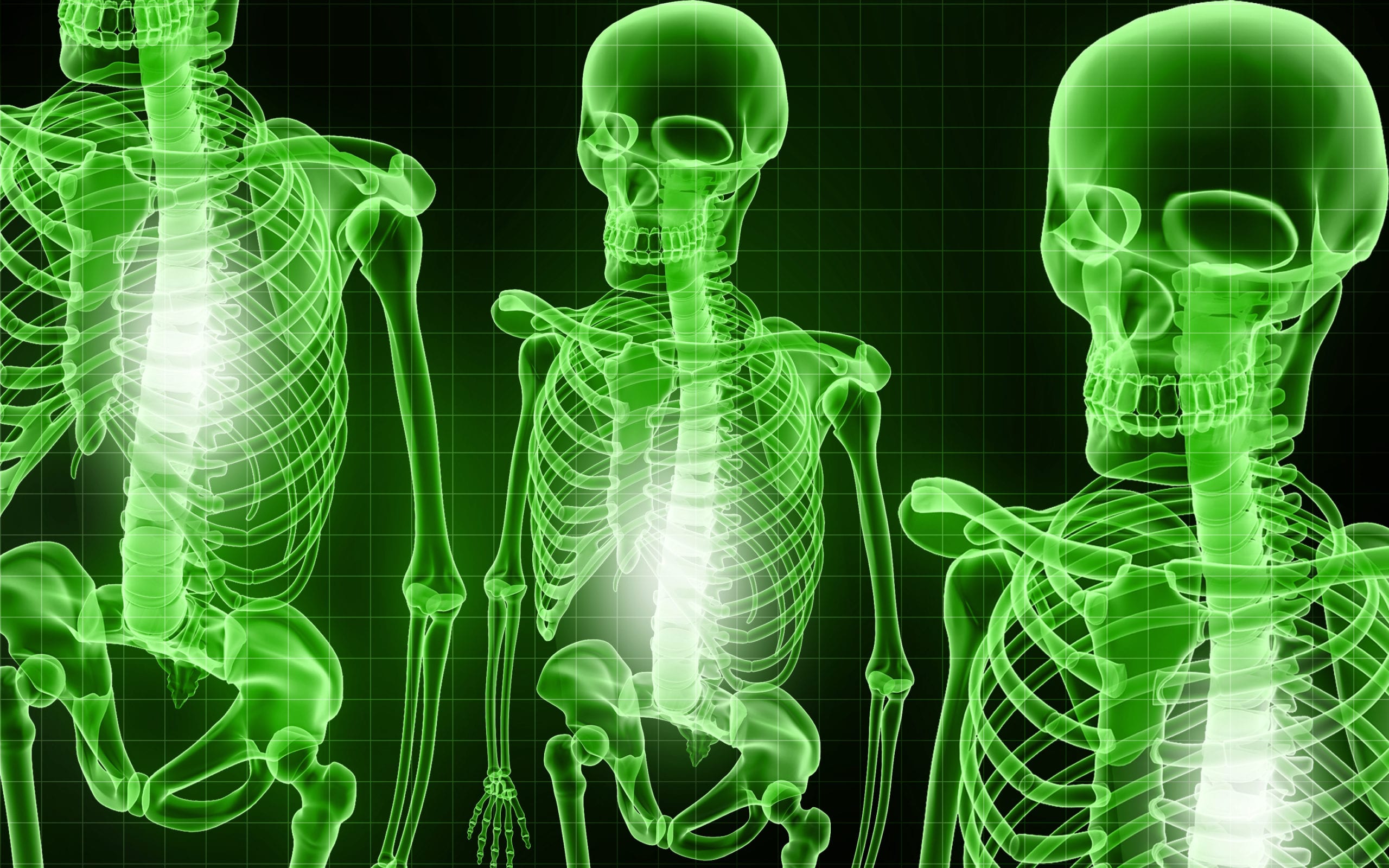 Squelette et maladie des os - consultation médicale par vidéo