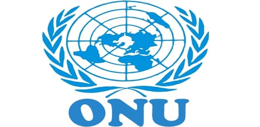 logo-ONU-Organisation des Nations Unies