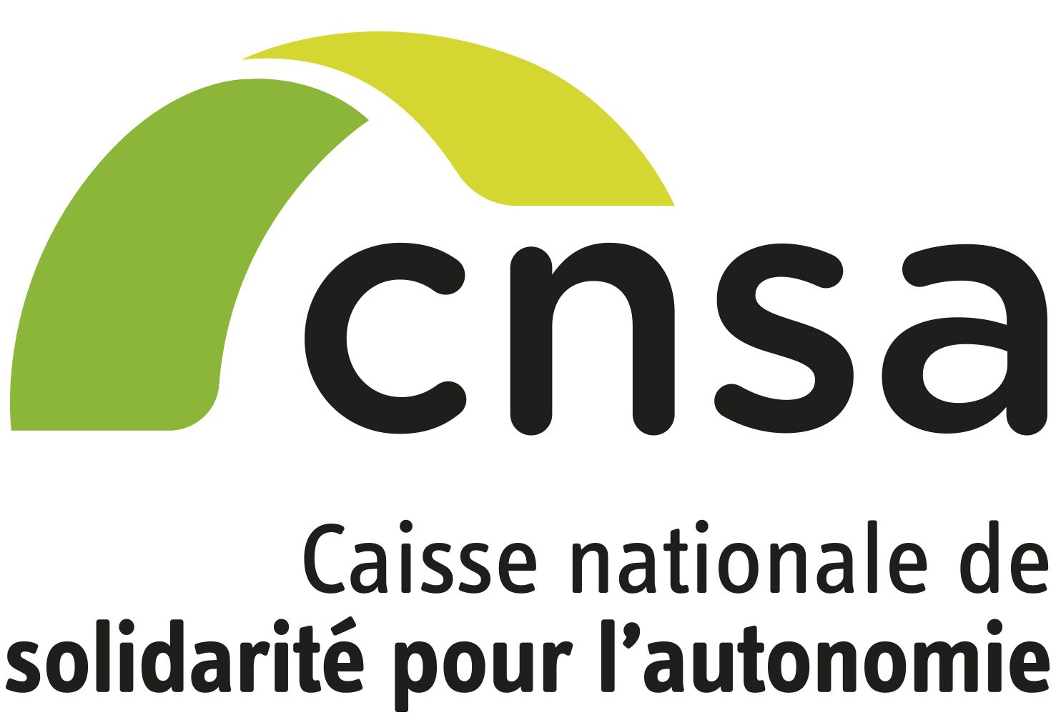 PLFSS 2025 : La CNSA en désaccord avec le projet de loi de financement ...