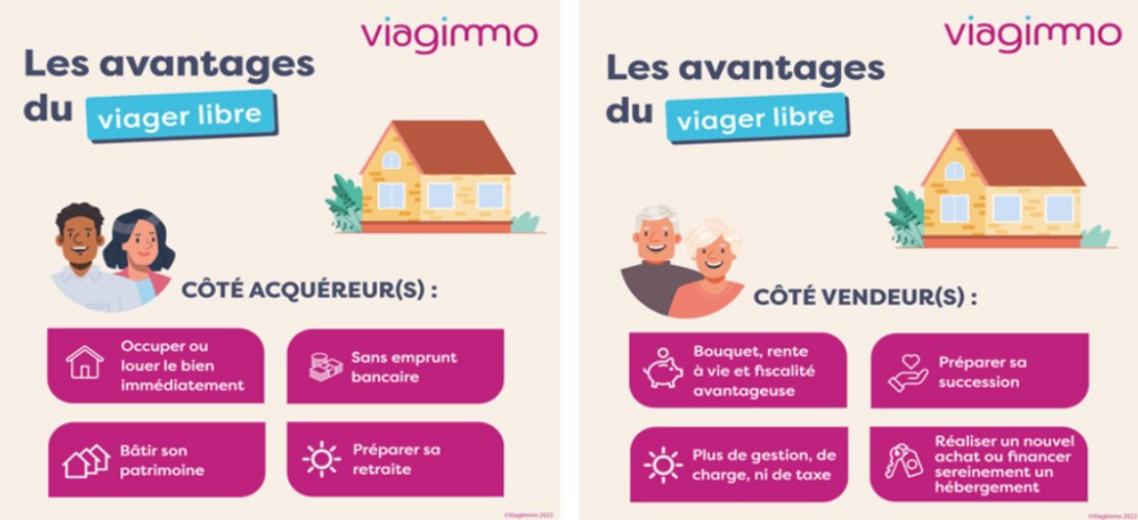 infographie viager 